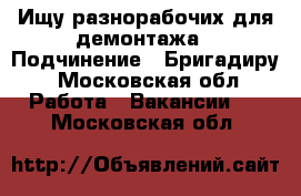 Ищу разнорабочих для демонтажа › Подчинение ­ Бригадиру - Московская обл. Работа » Вакансии   . Московская обл.